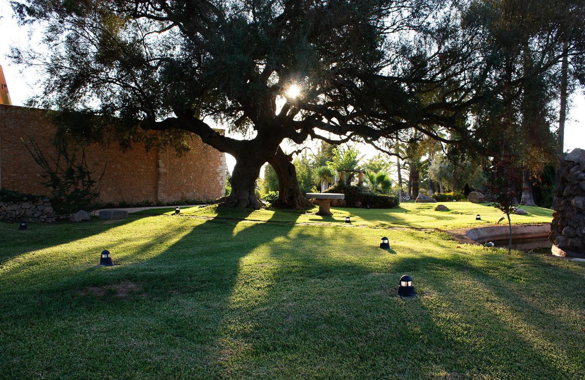 Sa Cabana Hotel & Spa - Adults Only