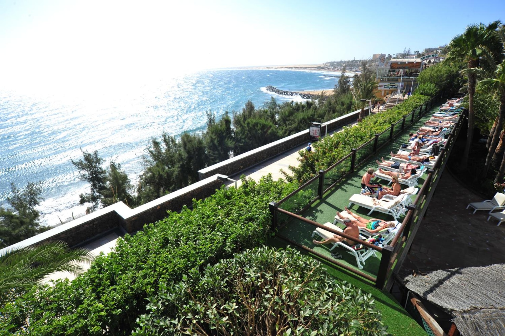 Hotel Parque Tropical