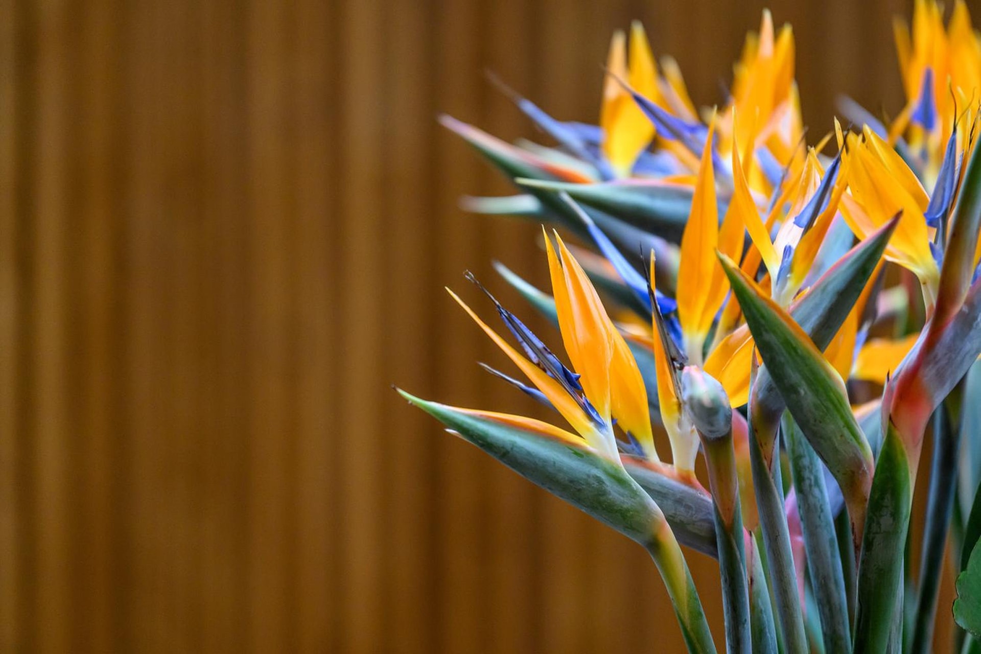 Inspira Liberdade Boutique Hotel