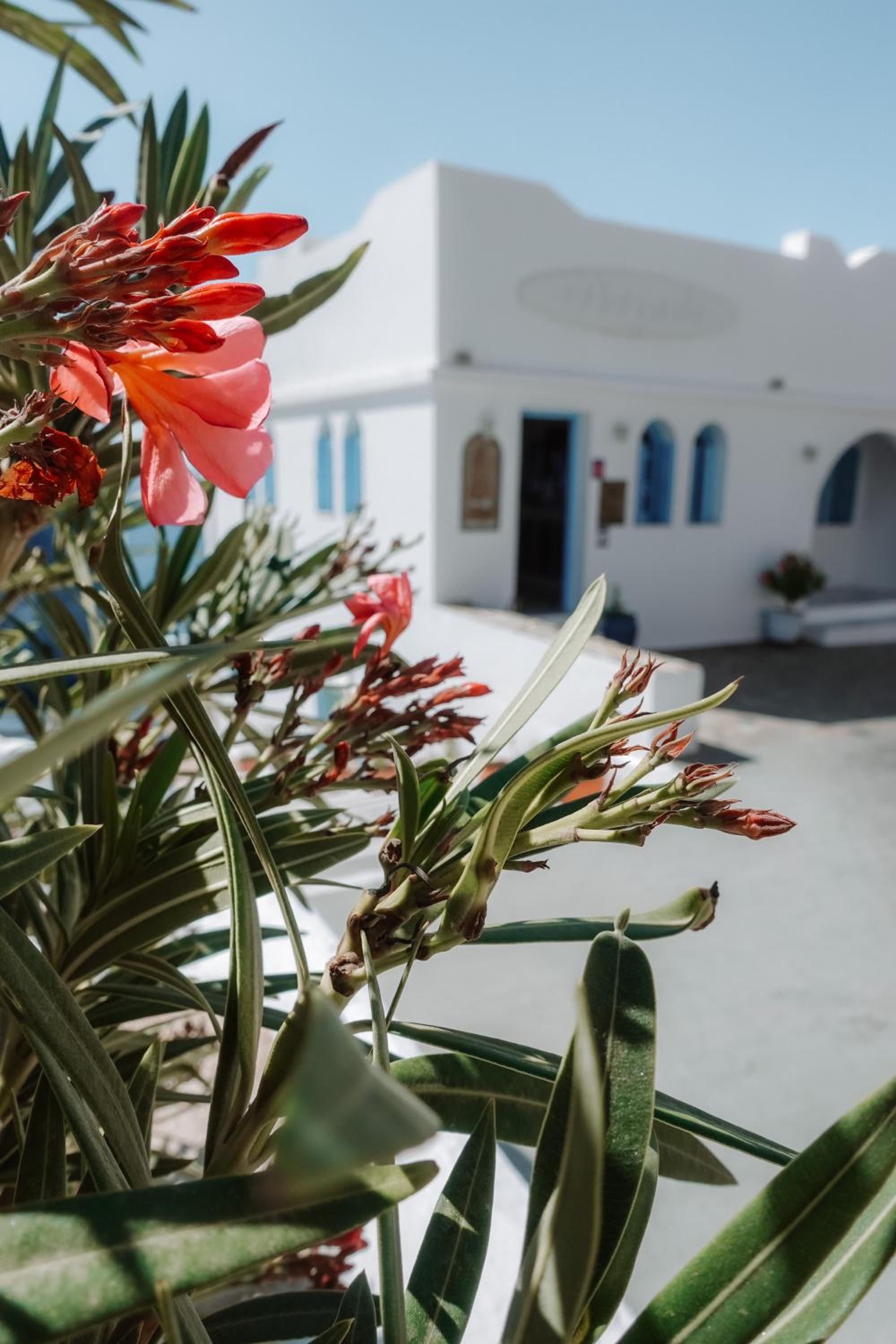 Hotel Petradi