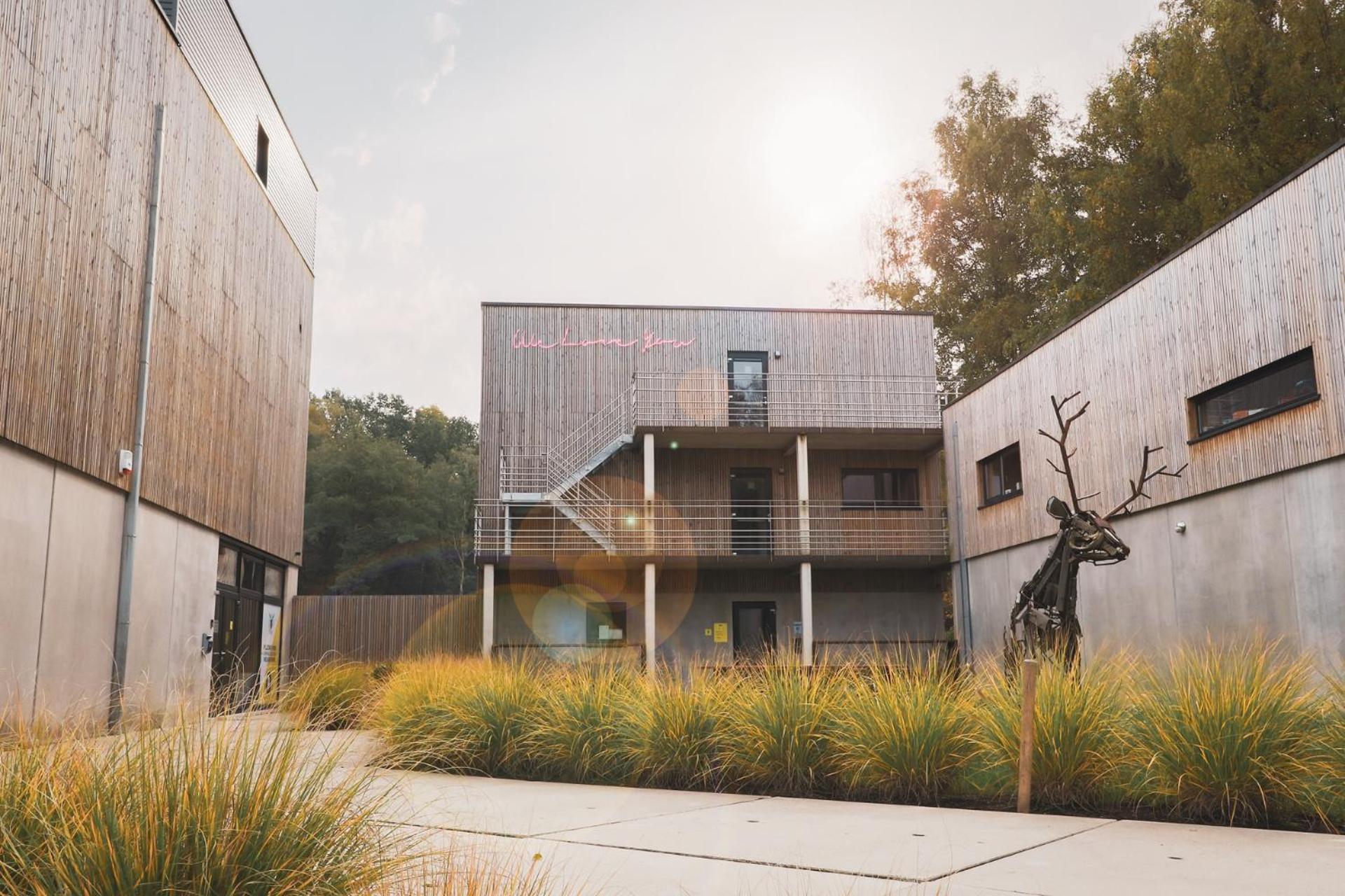 Daft Hotel & Glamping
