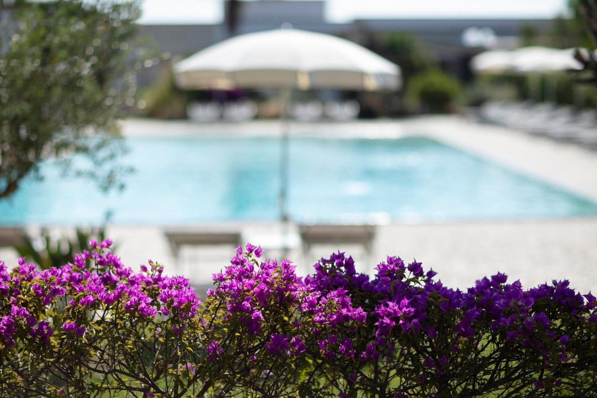 Borgo Mulino a Vento - Resort