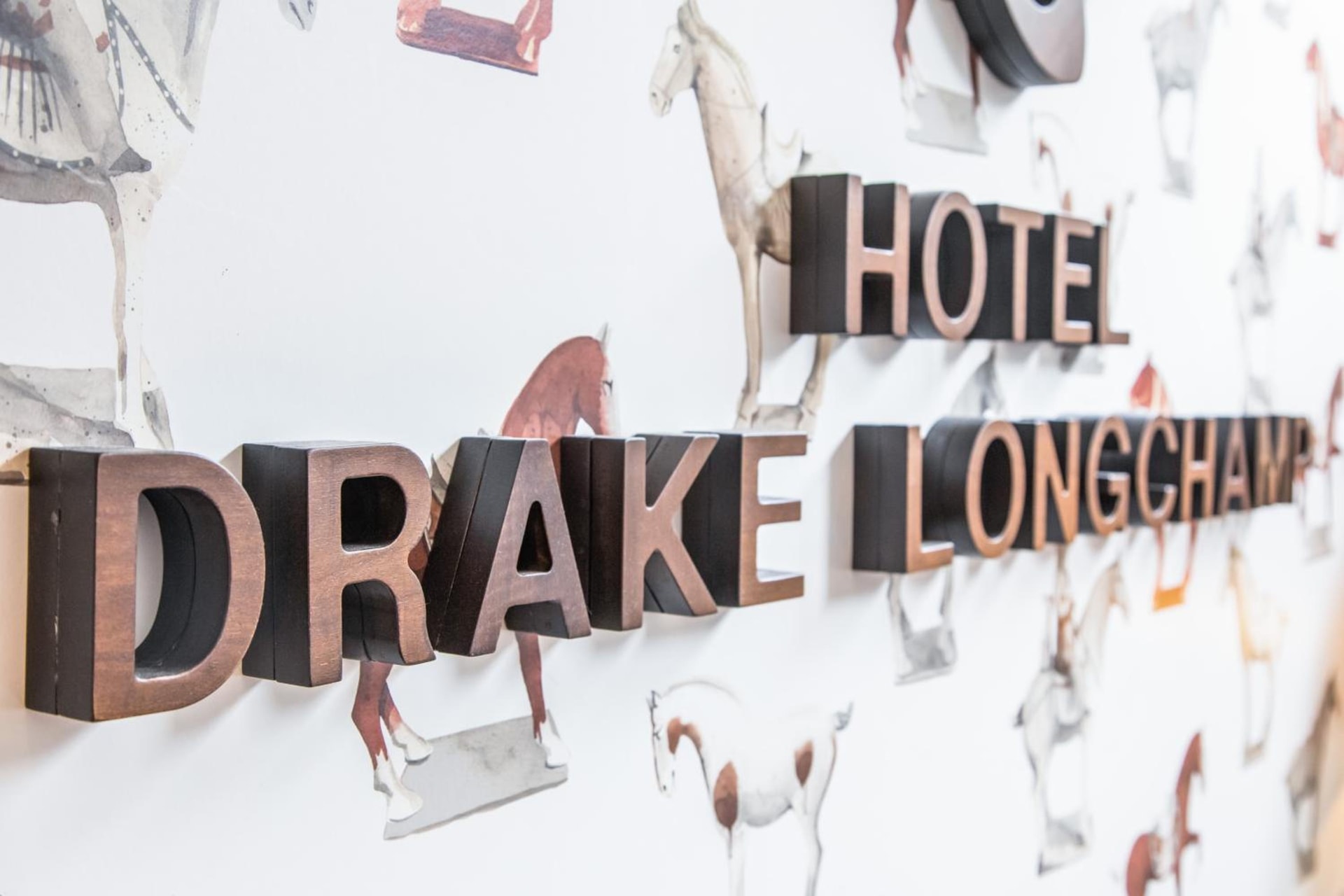 Drake Longchamp