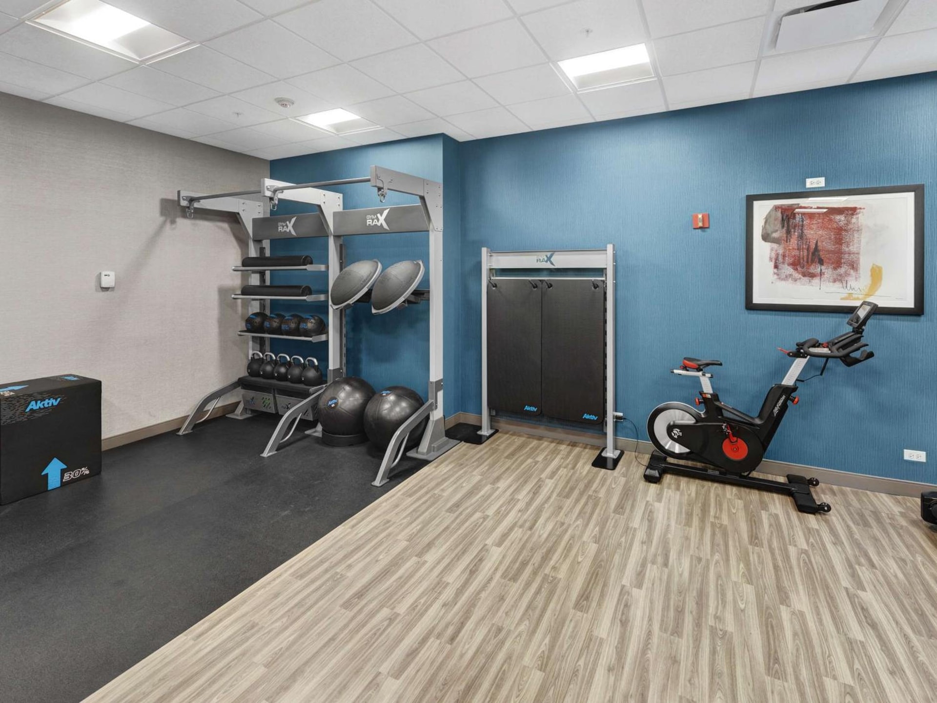 Hampton Inn & Suites Chicago-Downtown