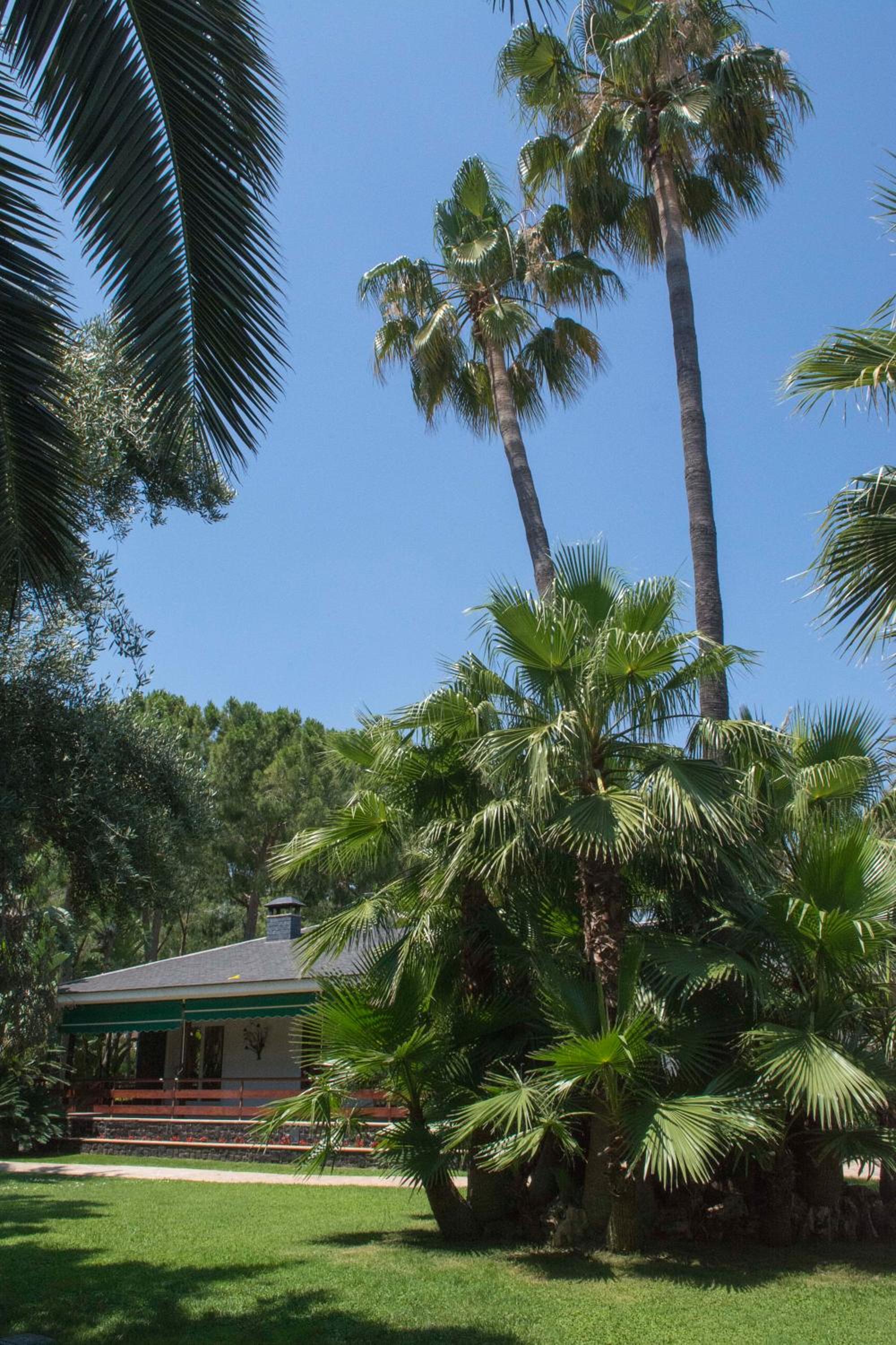 El Oasis Villa Resort