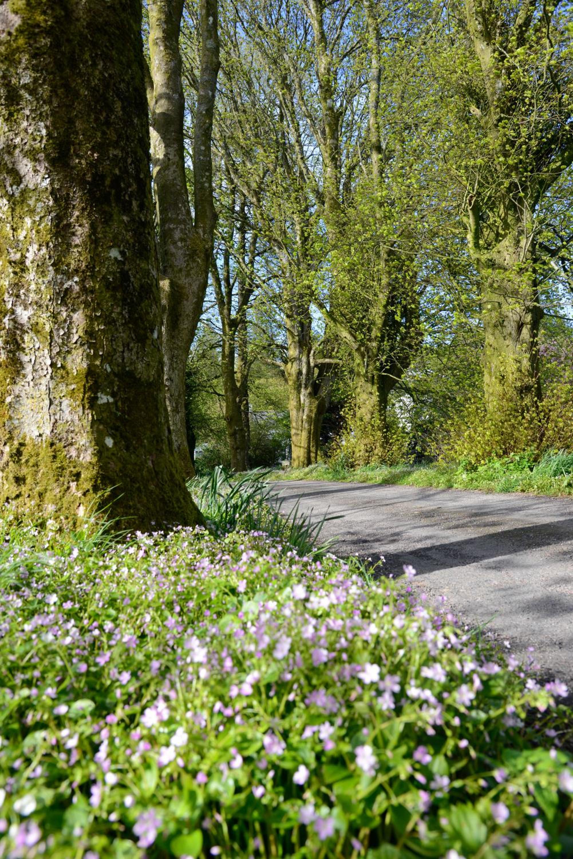 Craigadam Country House Hotel