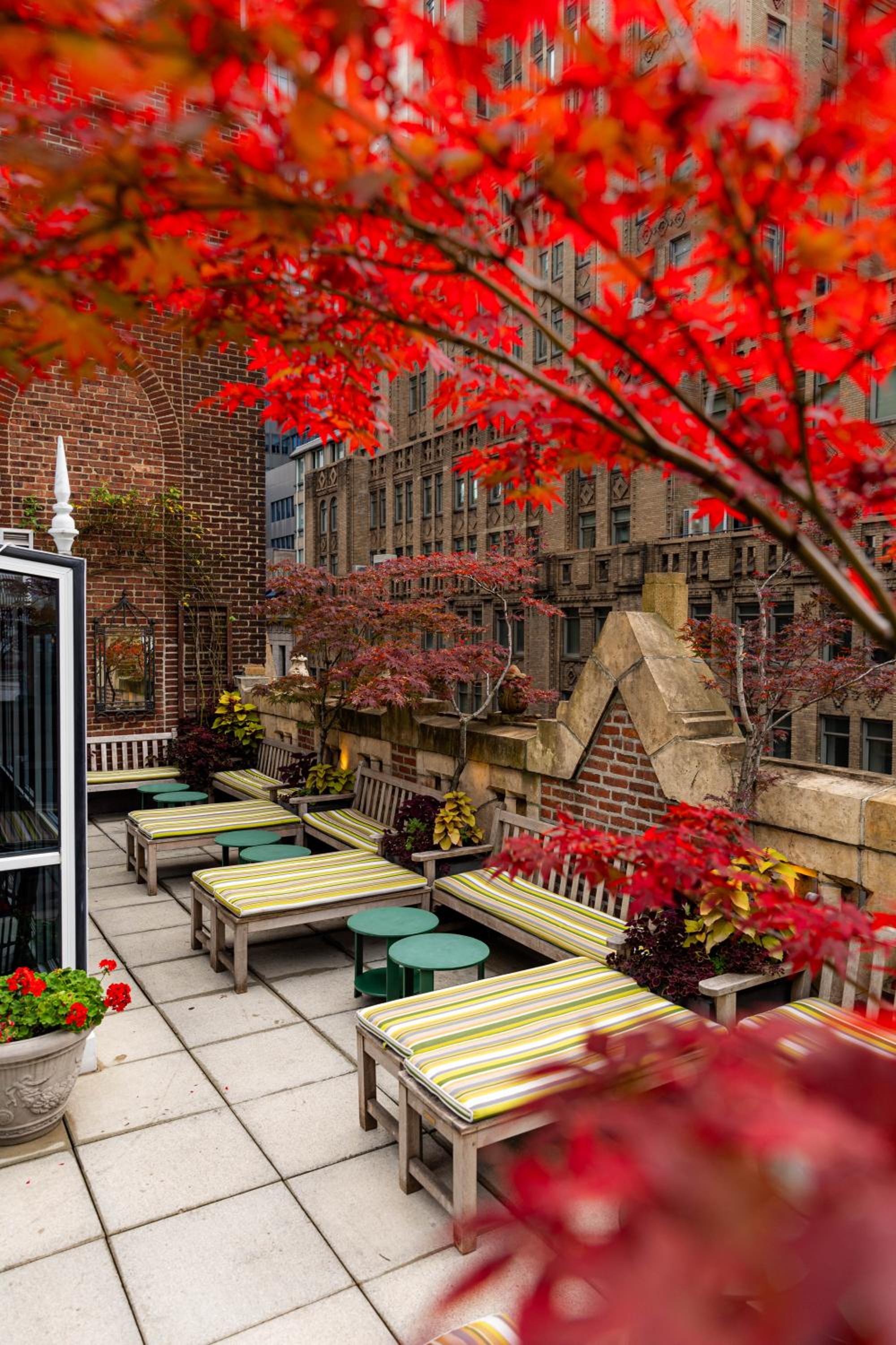 Library Hotel by Library Hotel Collection