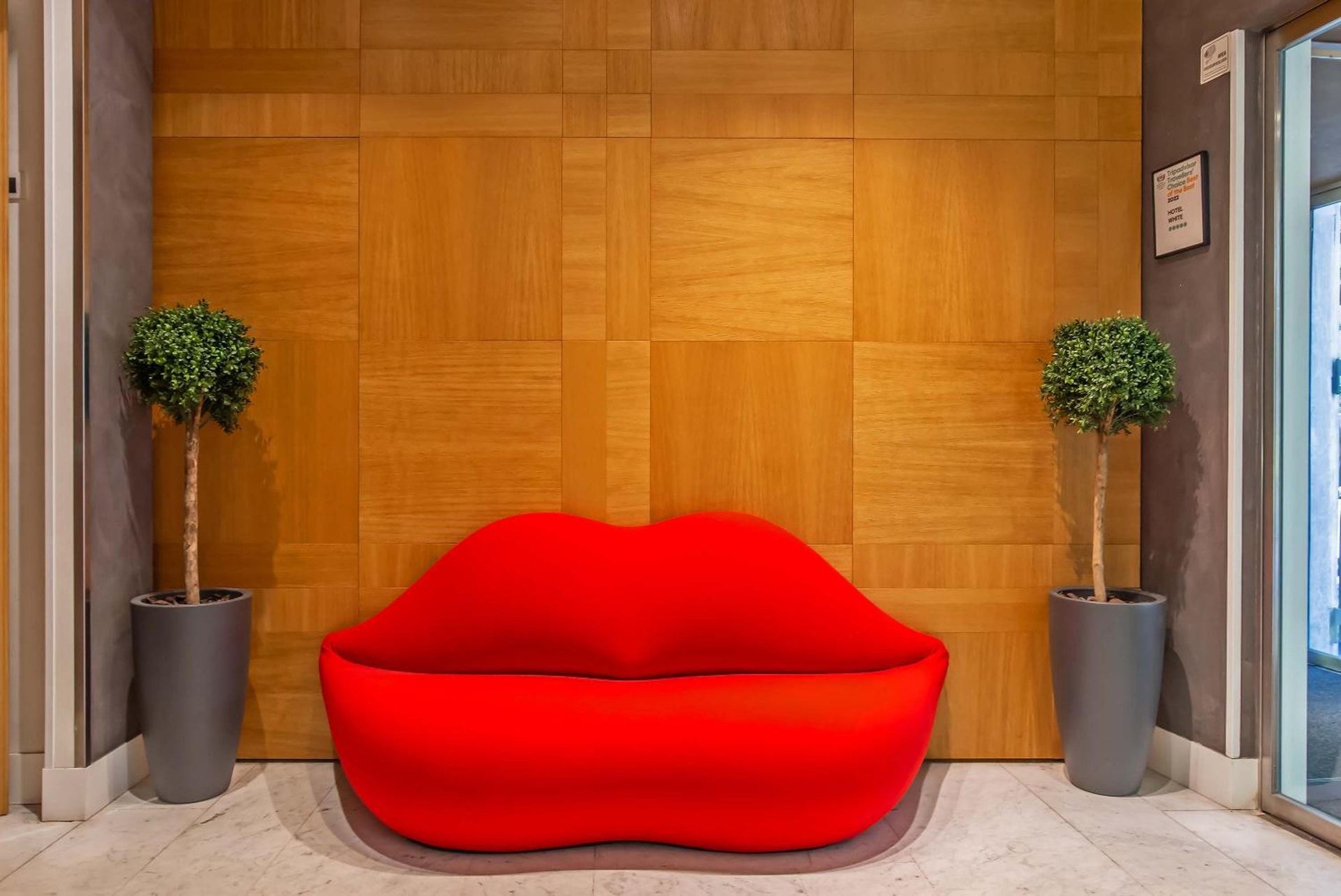 recepcion & lobby