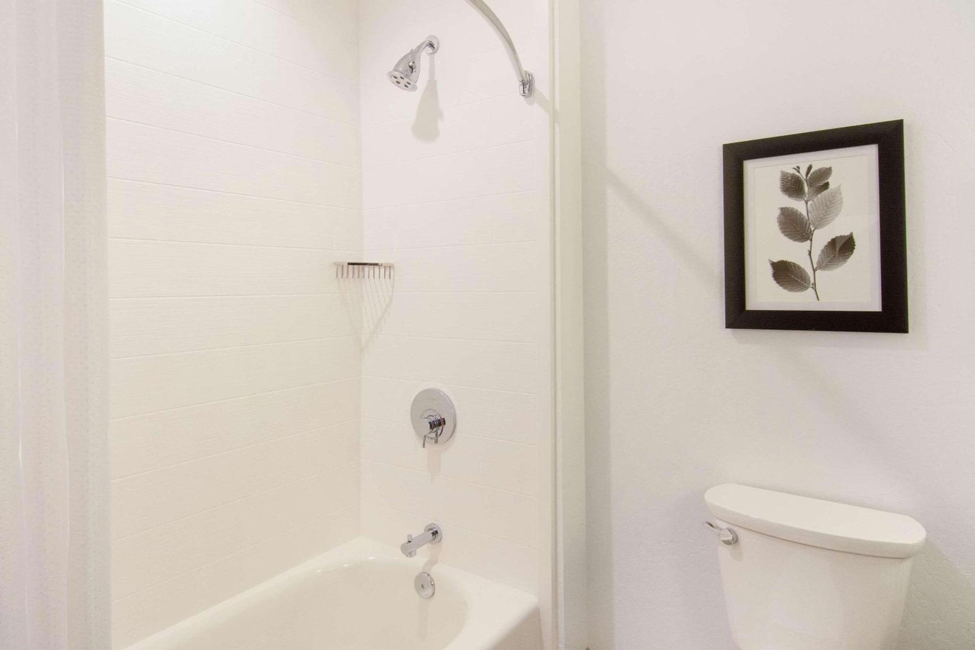 Country Inn & Suites by Radisson, Flagstaff Downtown, AZ