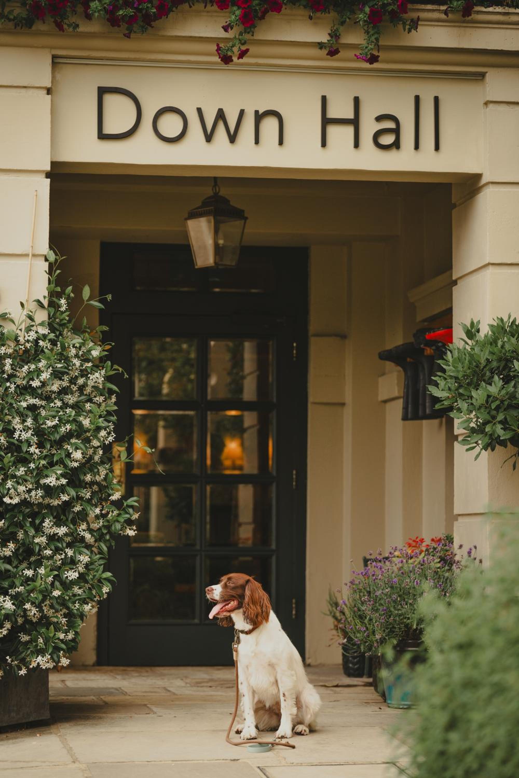 Down Hall Hotel