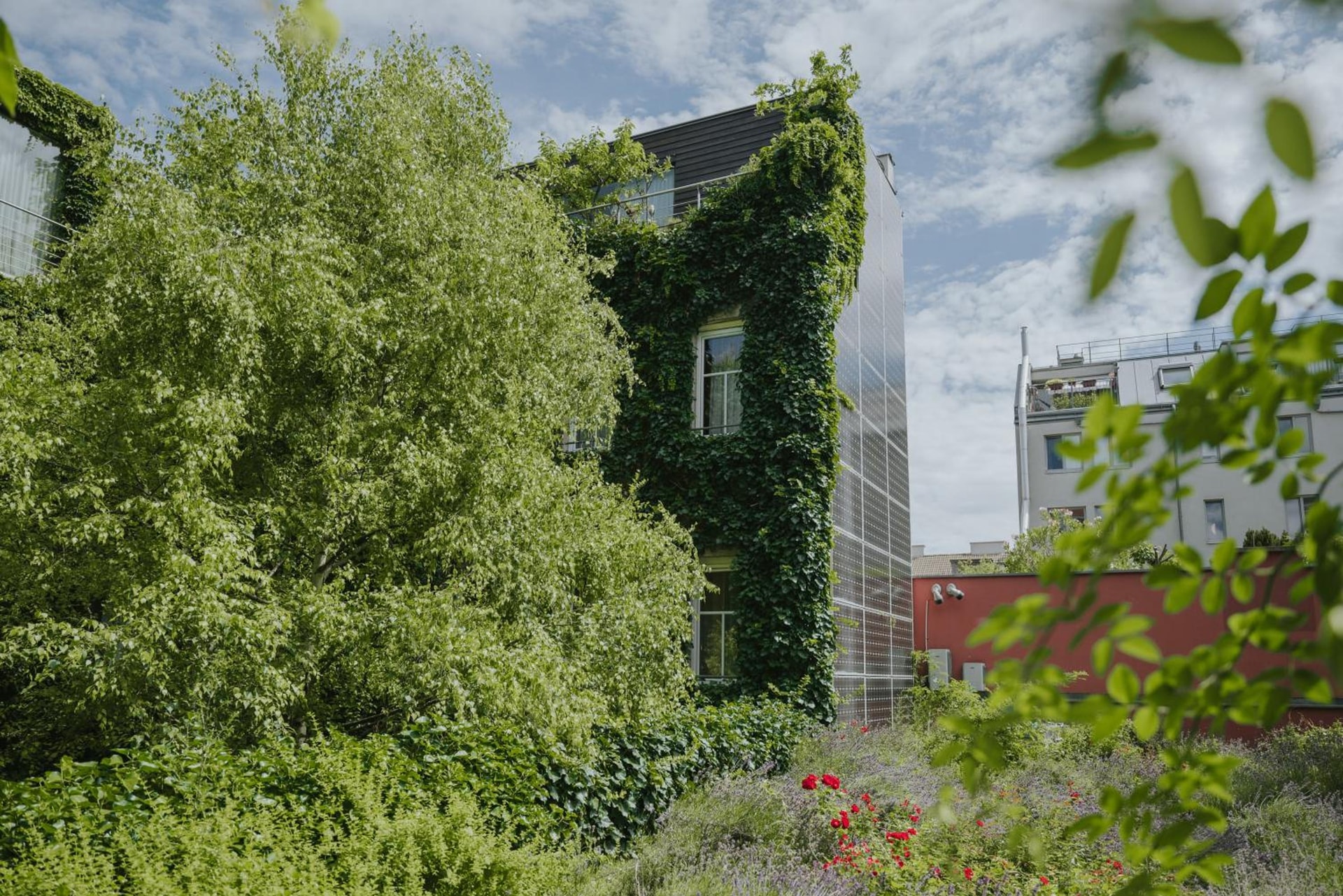 building