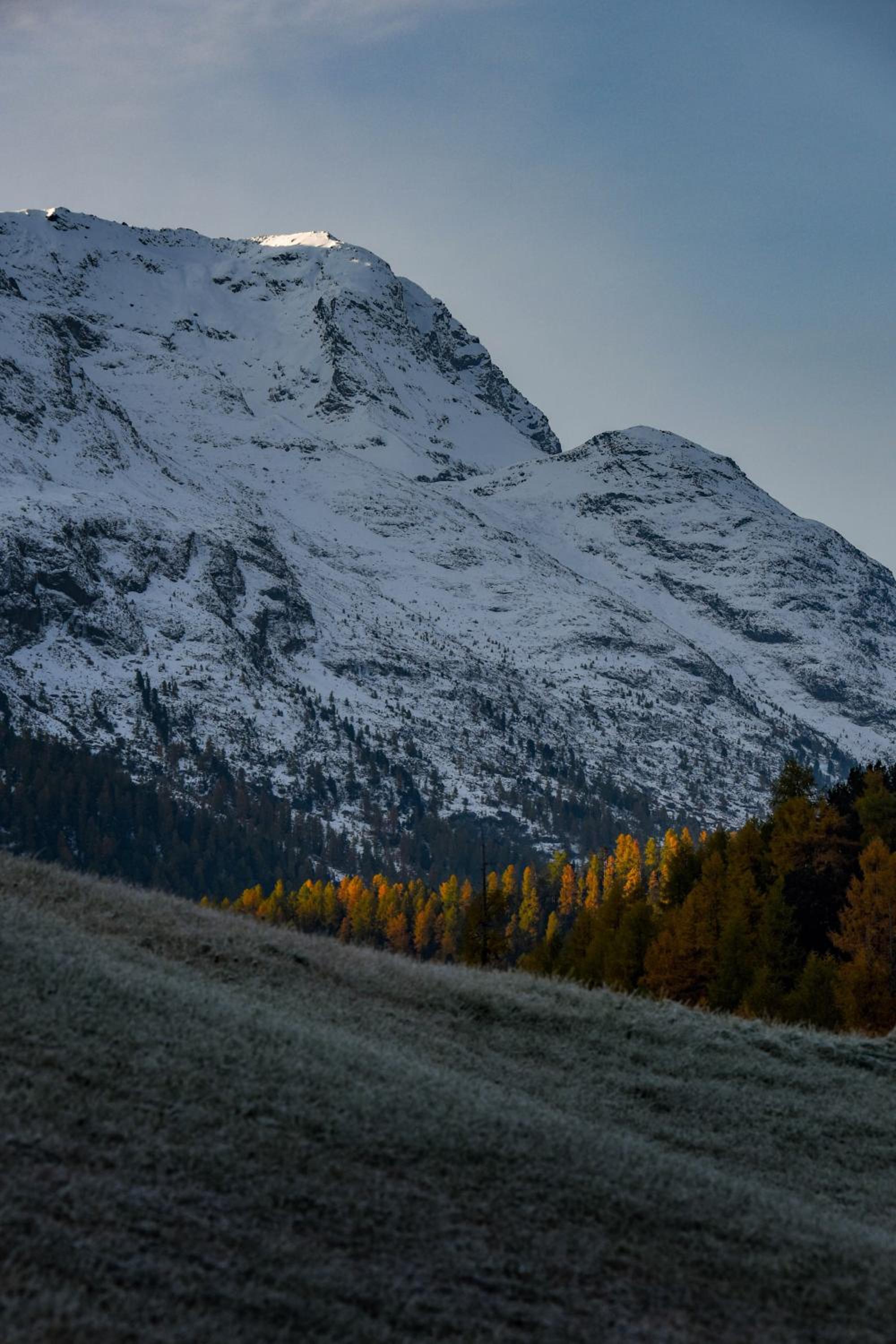 Cresta Palace Celerina St Moritz active-in and experience-out