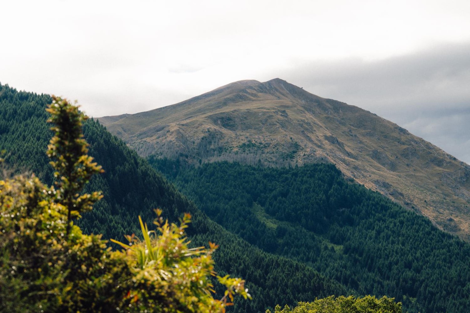 The Central Hotel Queenstown, A Naumi Chapter