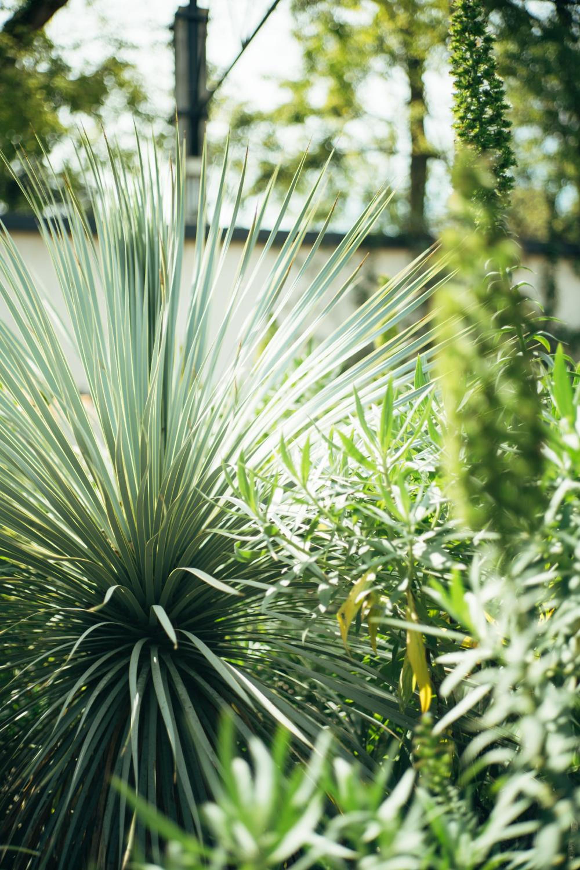 Horti 14 Borgo Trastevere Hotel