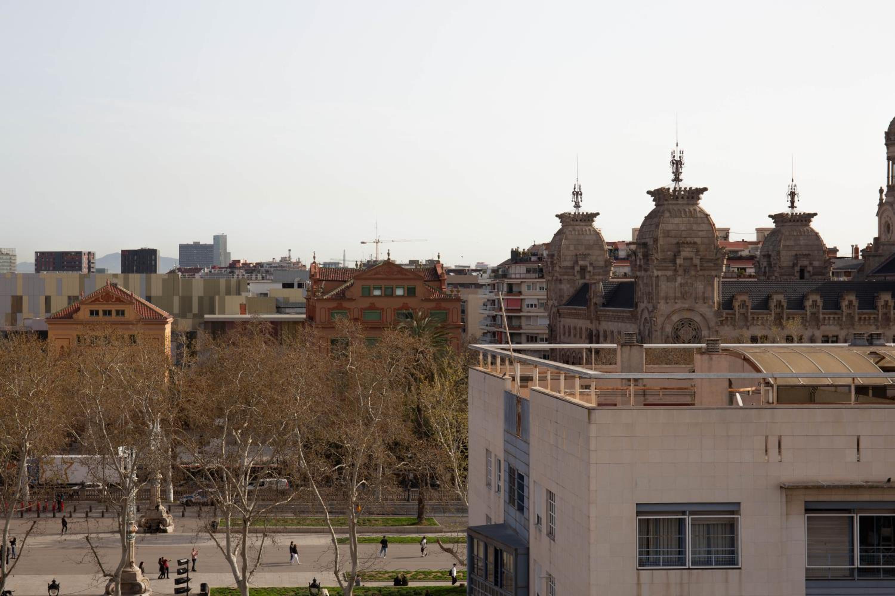 Miiro Borneta