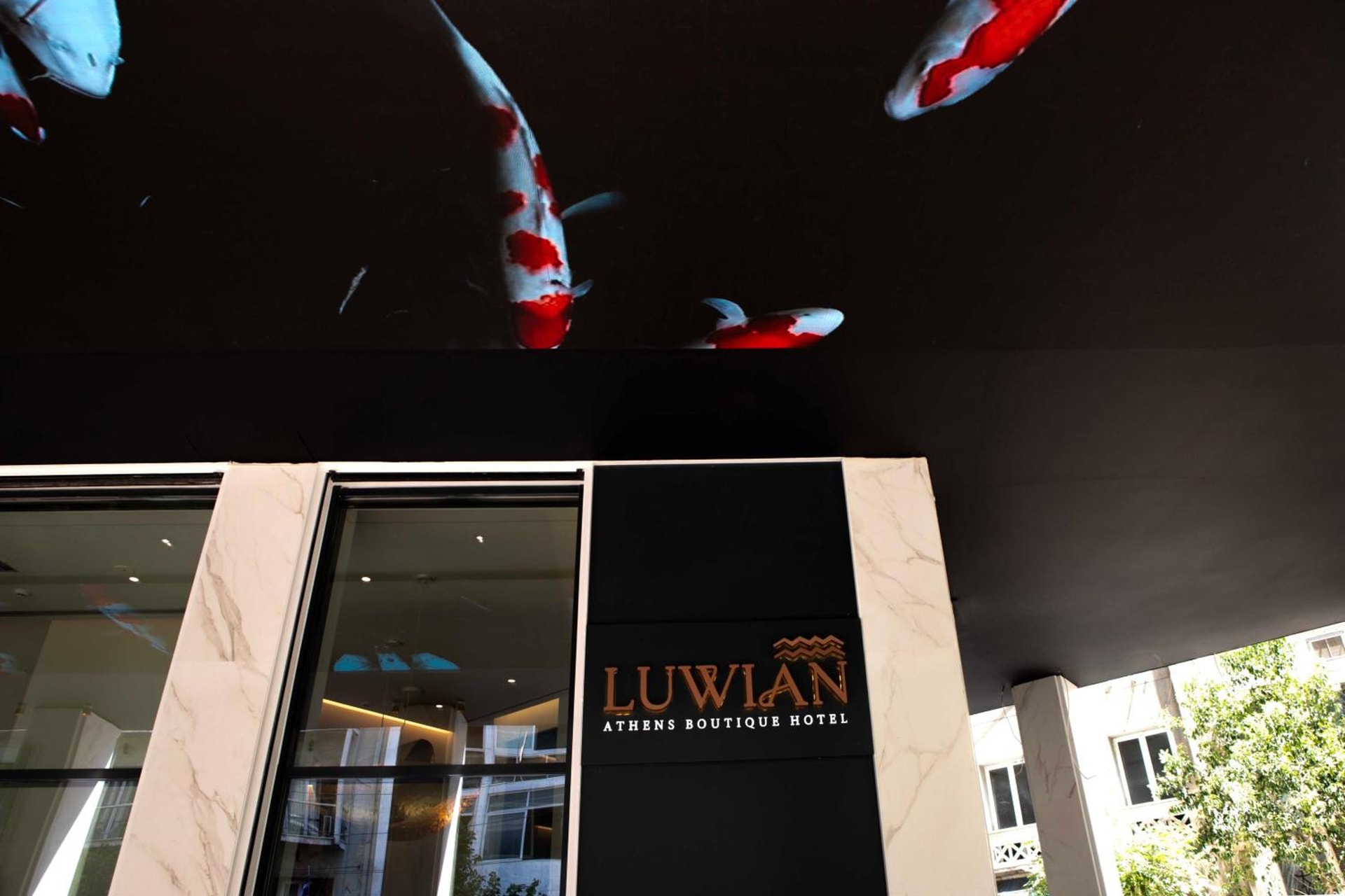 building