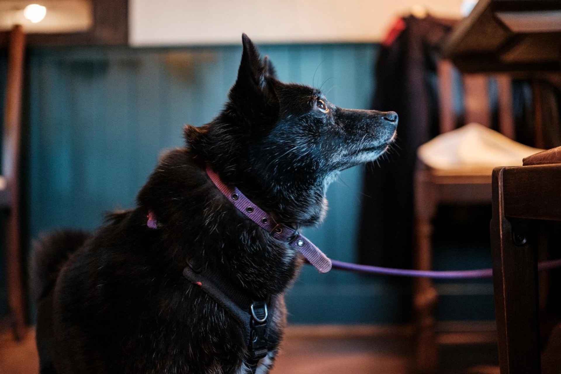 The Pilgrim Inn