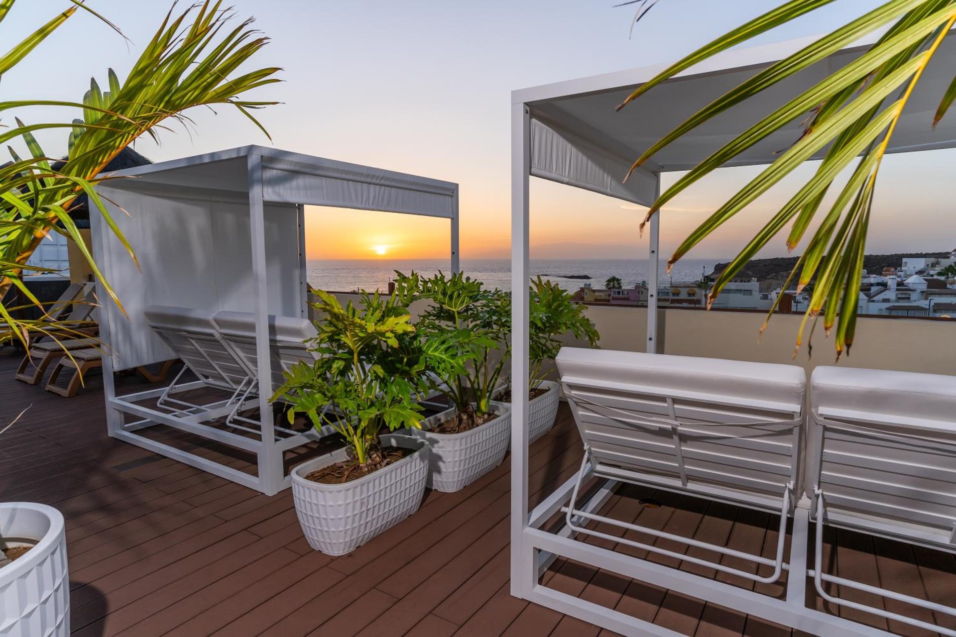 HOVIMA Jardin Caleta