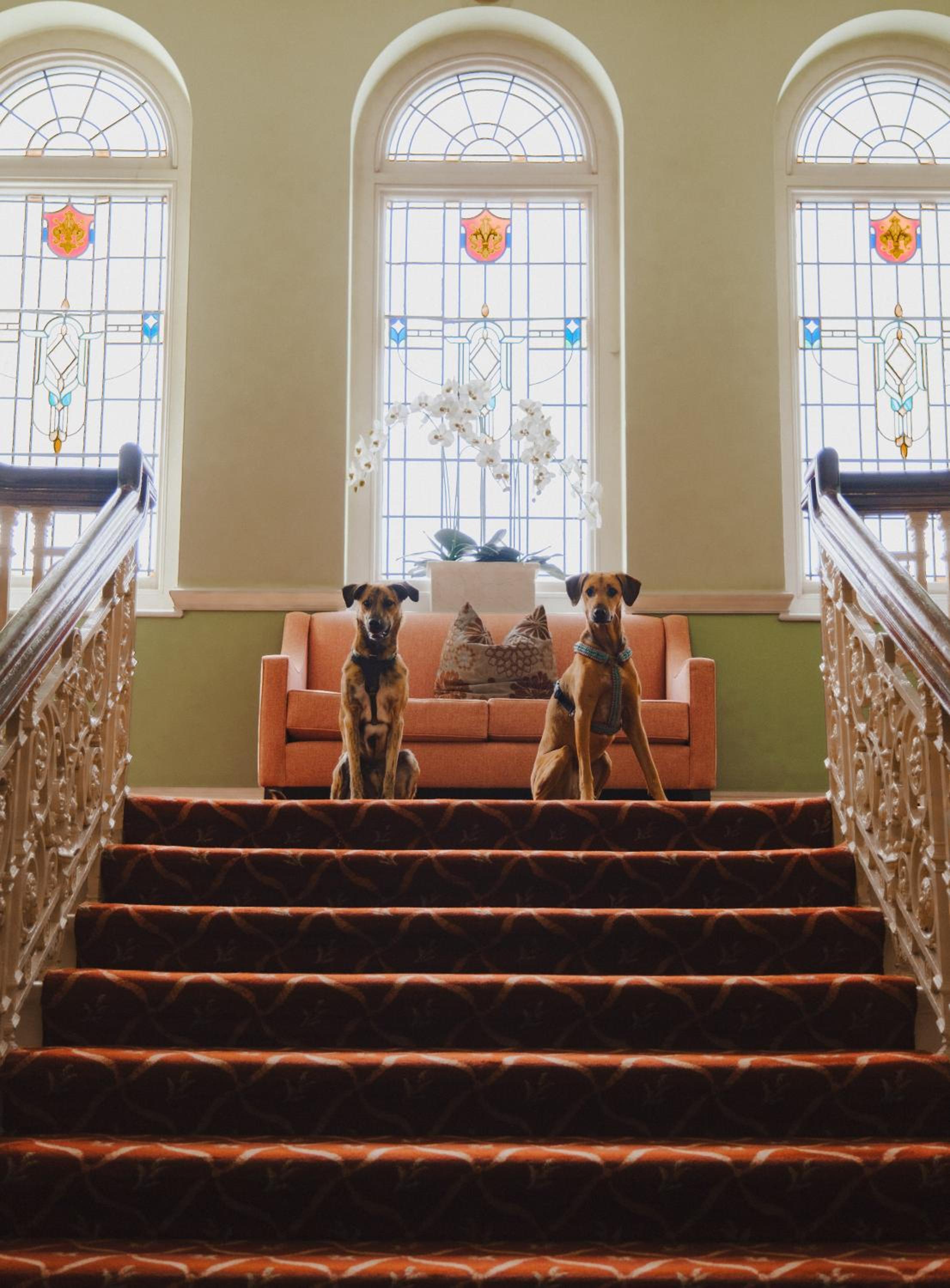 The Headland Hotel and Spa
