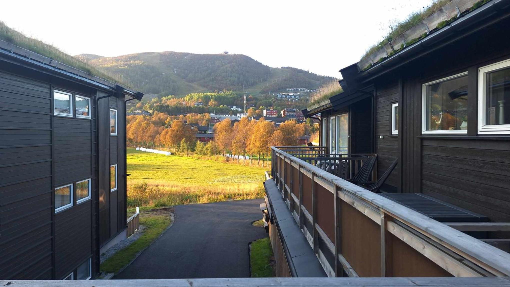 Sentral leilighet på Geilo
