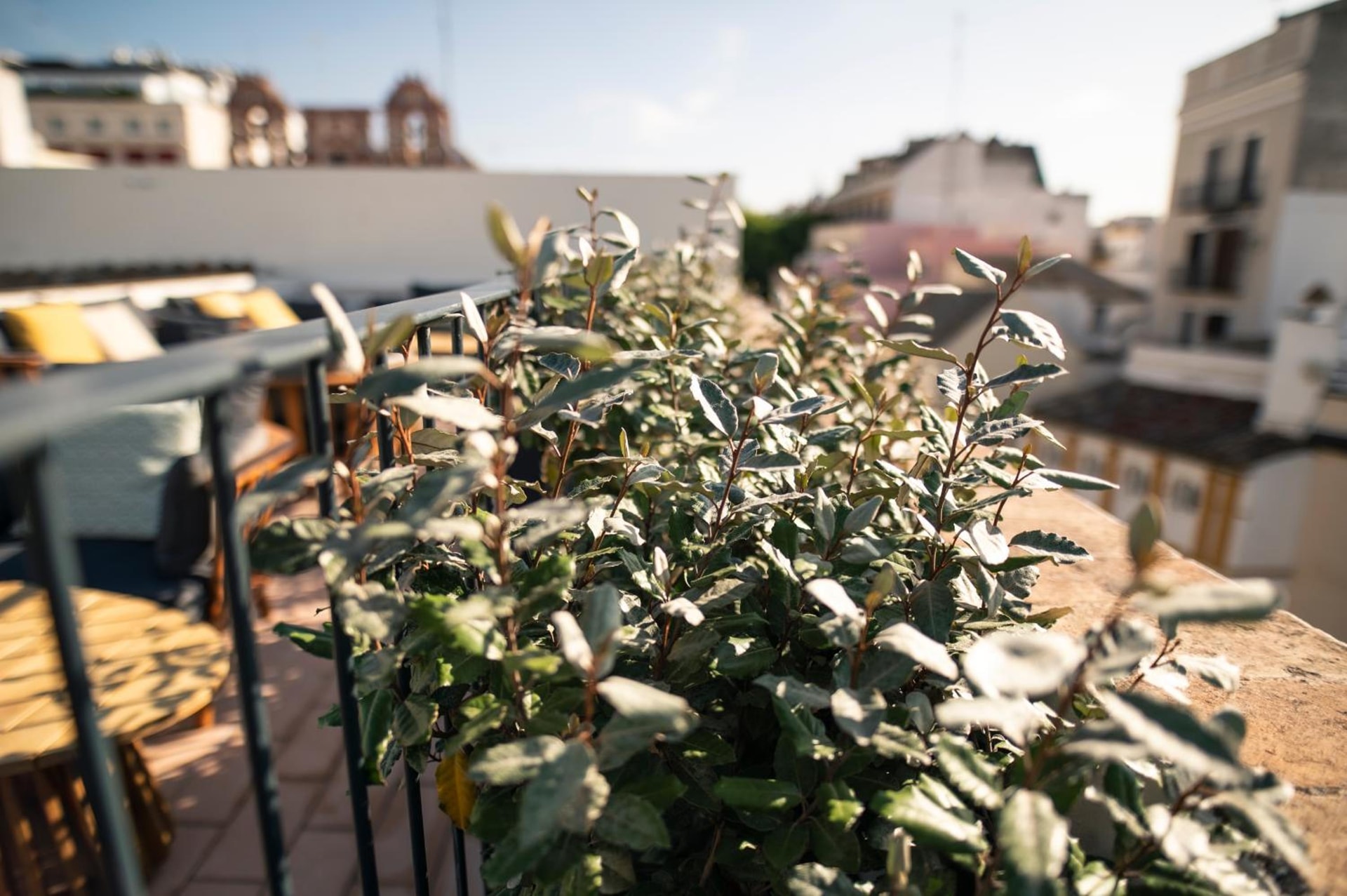Legado Magdalena Hotel