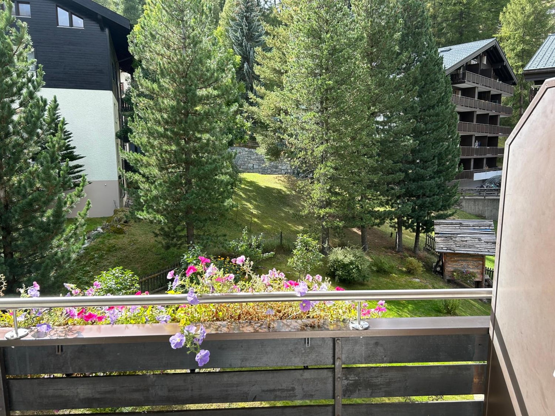 Hotel Adonis