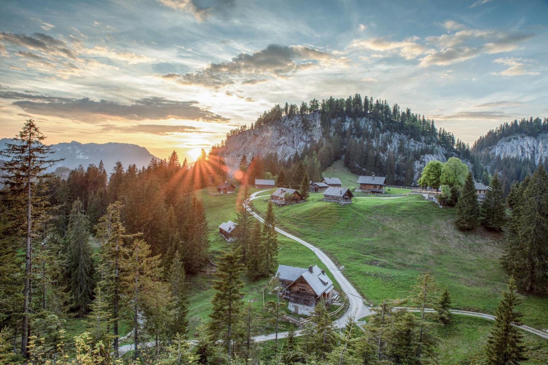 Metzgerwirt Vieh Heli