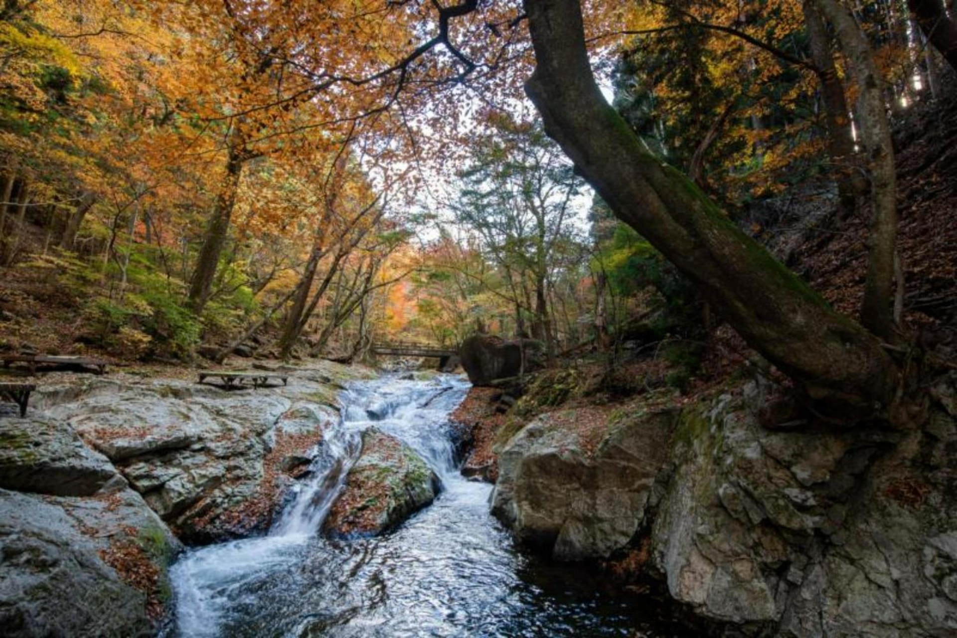 Shionoyu Onsen Rengetsu
