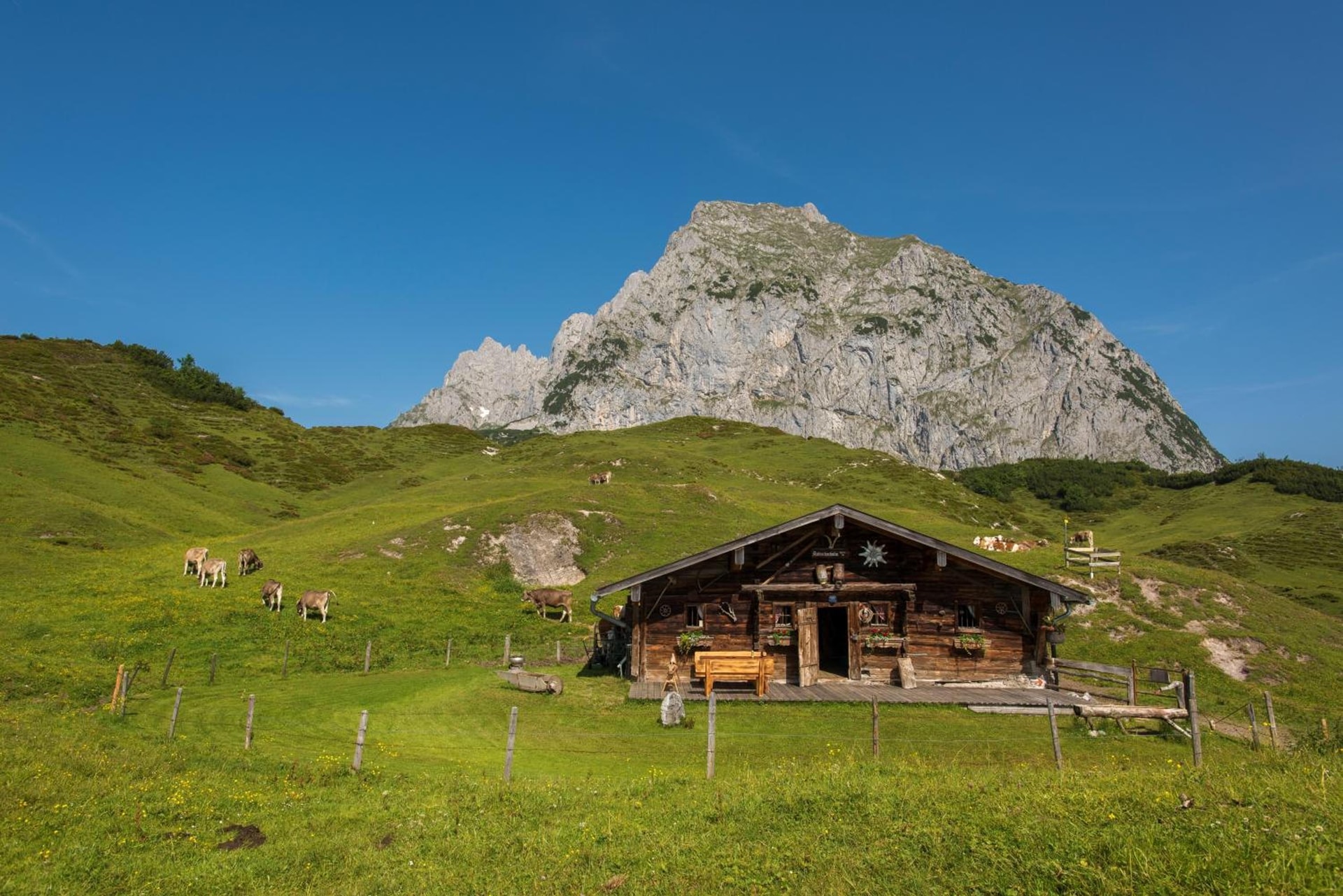 COOEE alpin Hotel Kitzbüheler Alpen