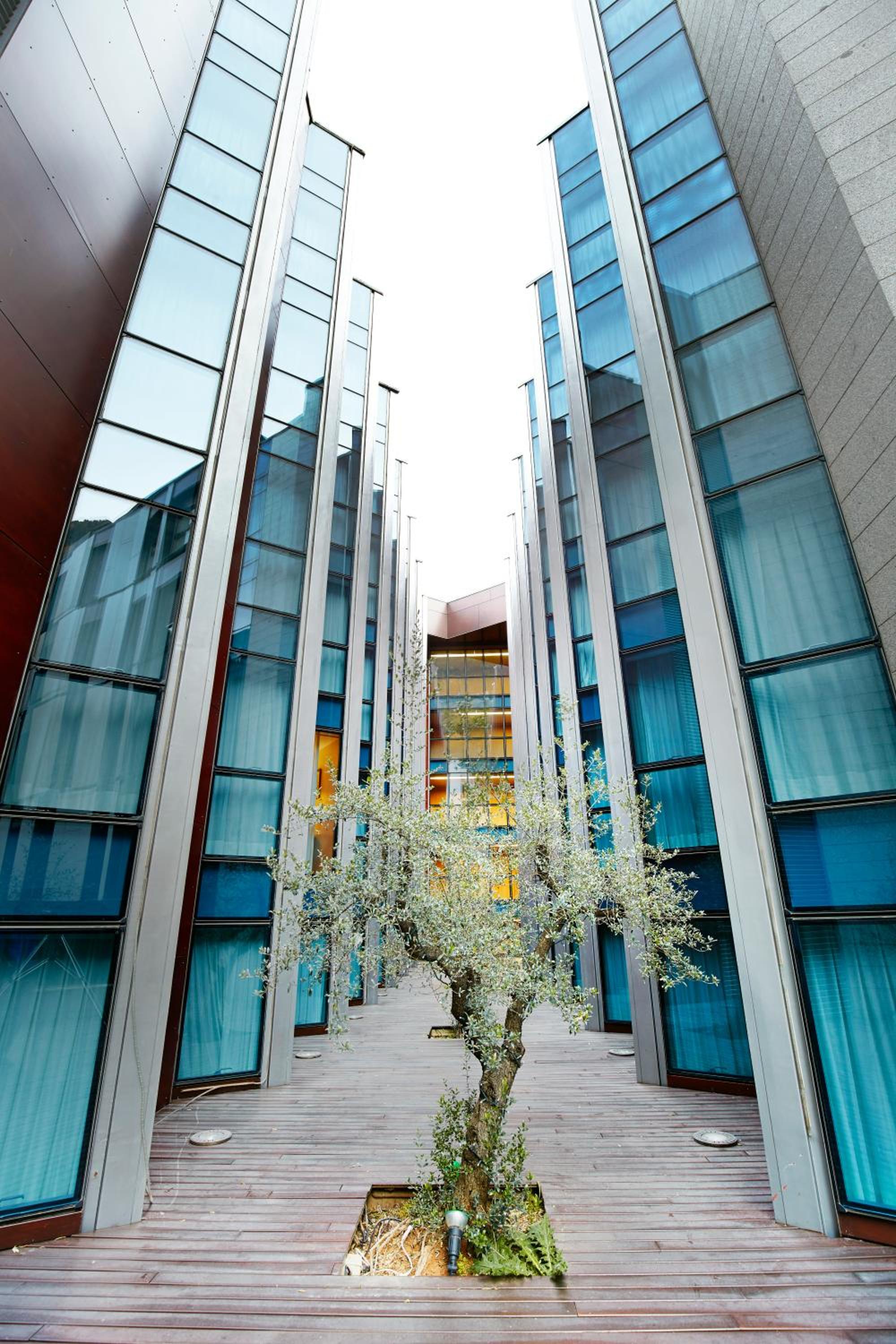 Hotel Nexta Escaldes