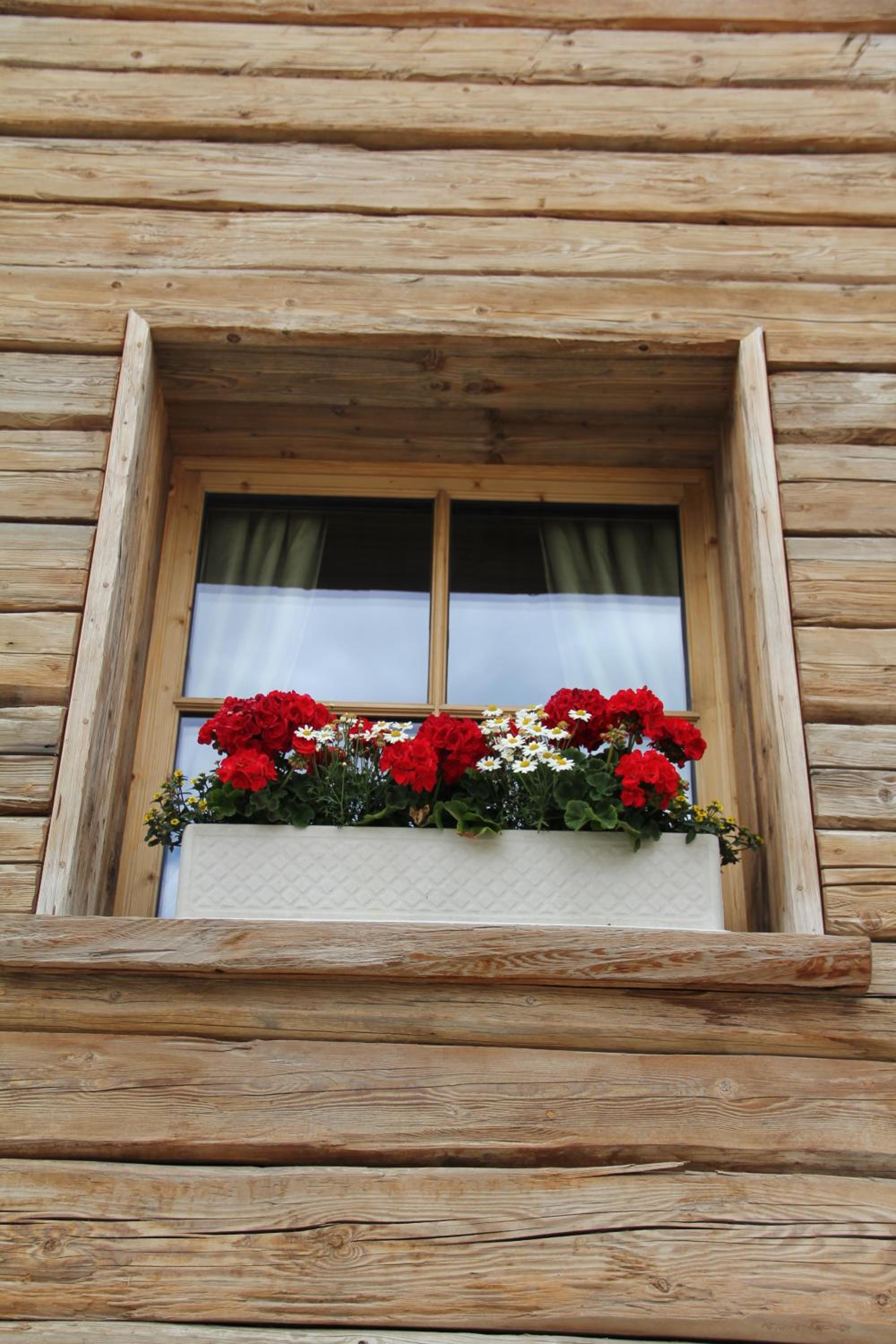 Hotelino Petit Chalet