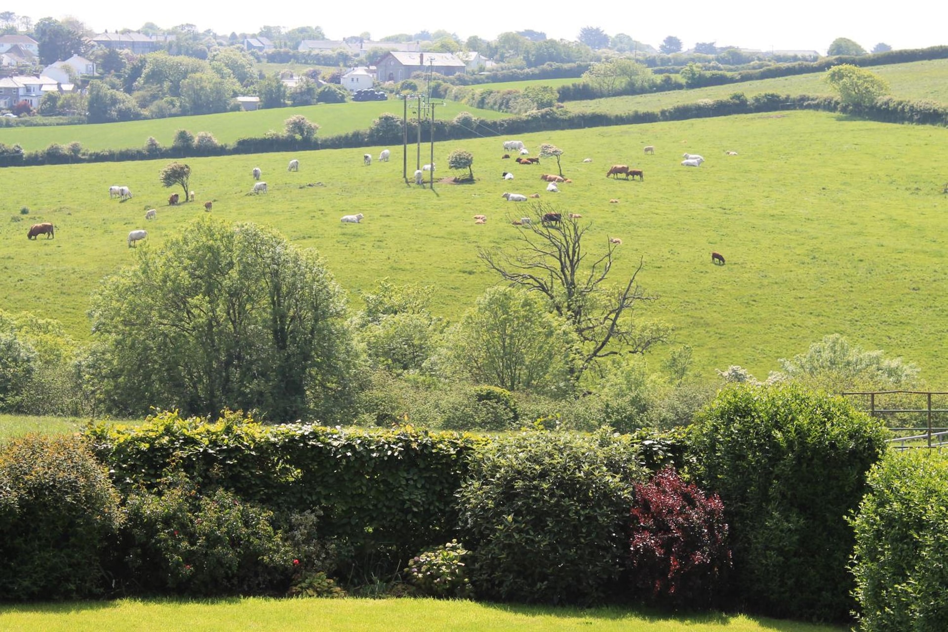 Trevanger Farm Bed and Breakfast