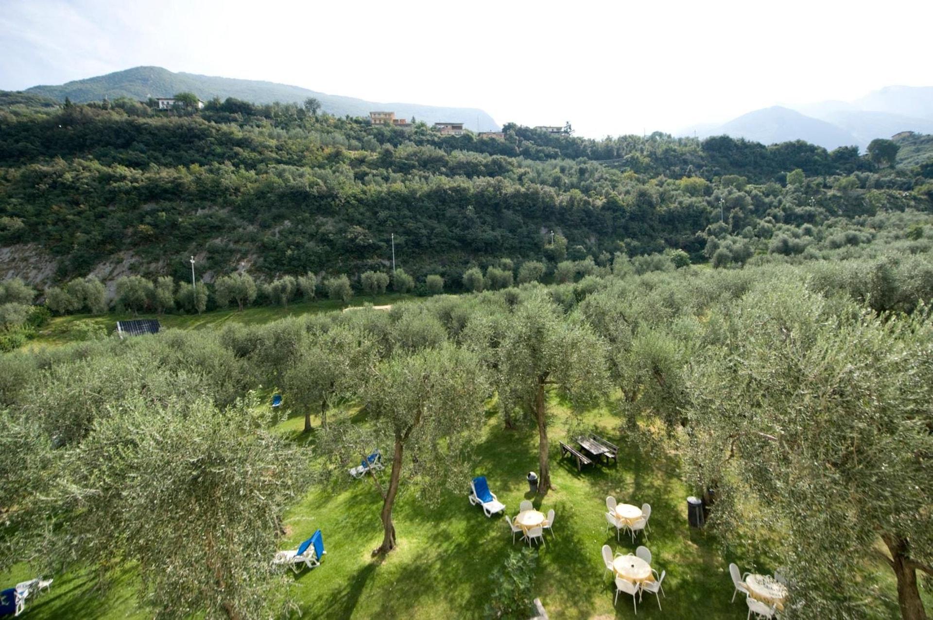 Hotel Garnì Orchidea