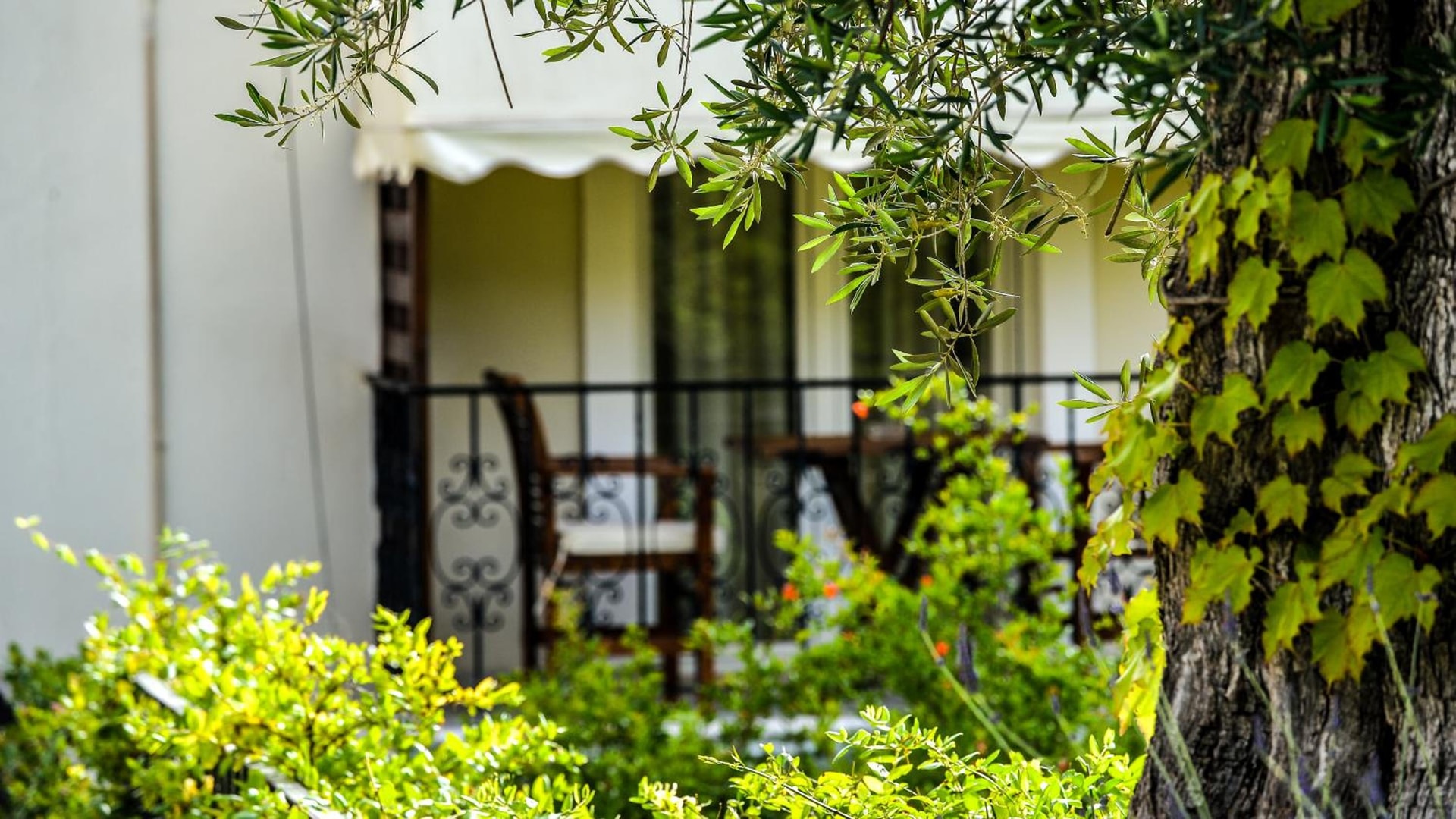 Paxos Club Resort & SPA