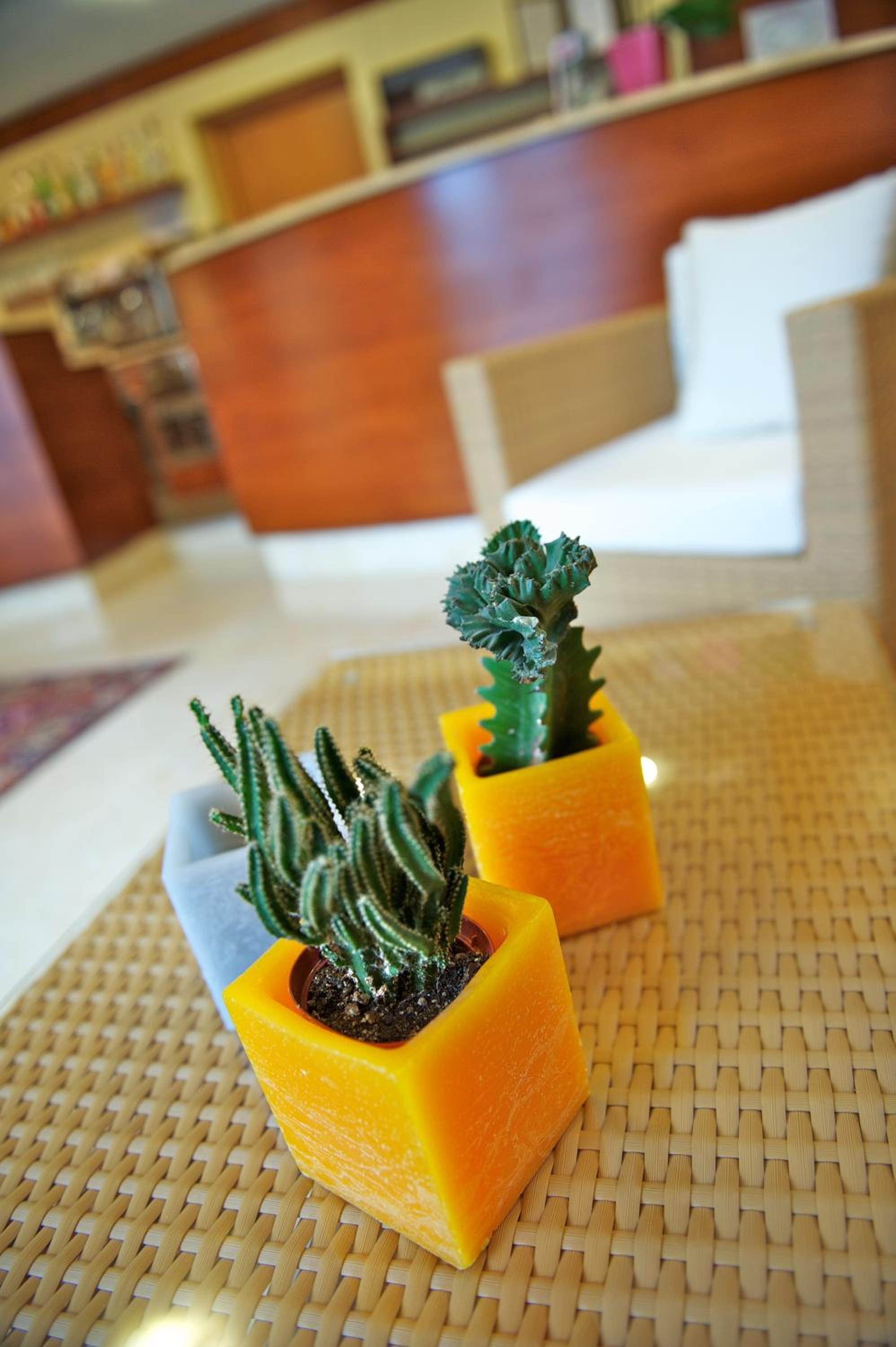 Hotel Garnì Orchidea
