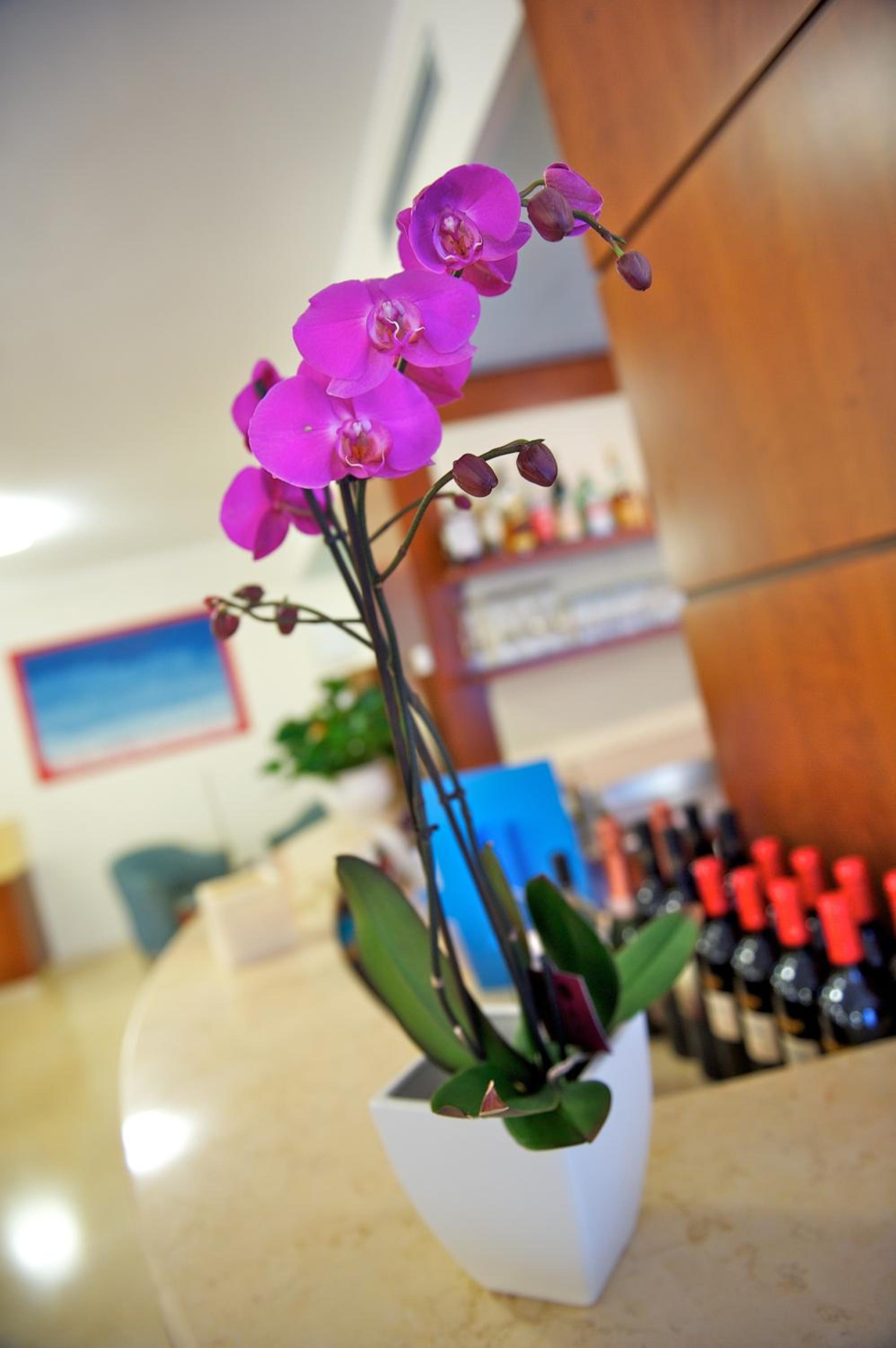 Hotel Garnì Orchidea