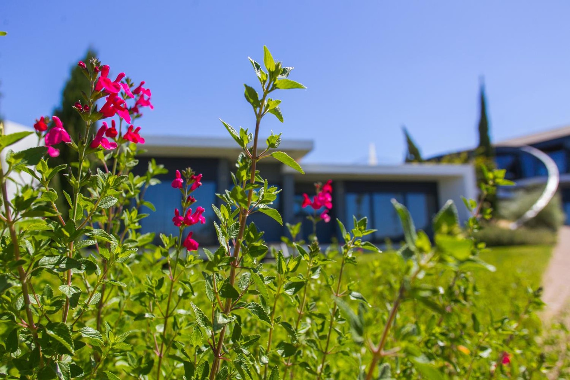 Herdade da Cortesia Hotel