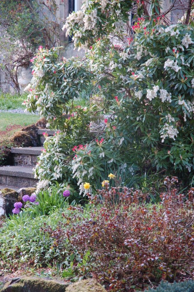 Lubnaig Guest House