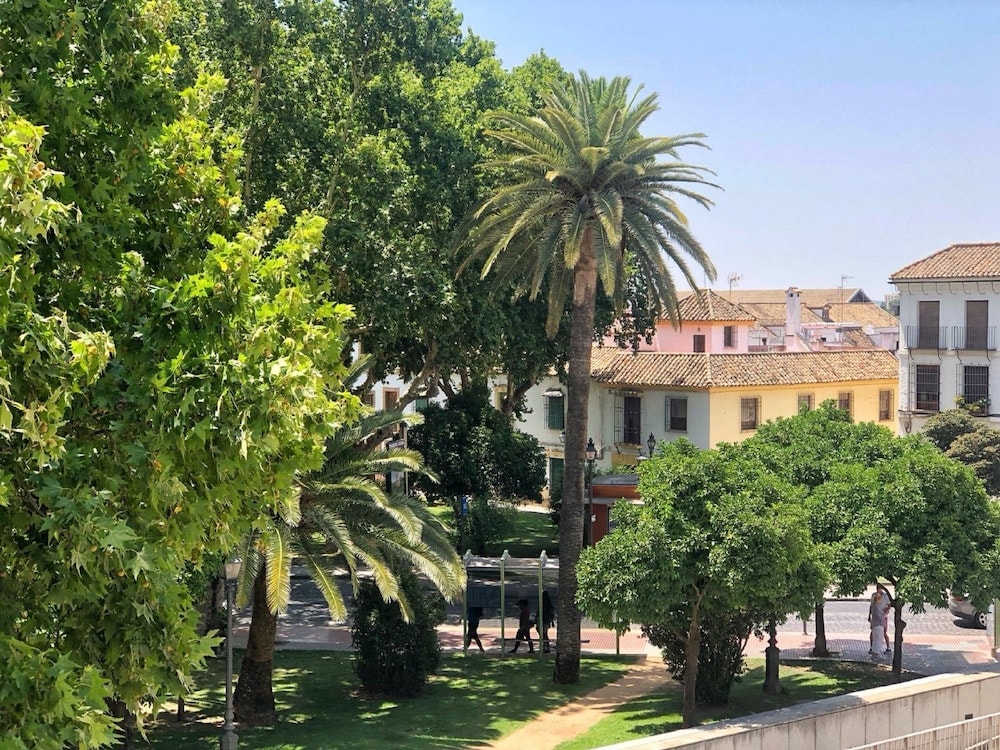 Las Casas de la Judería de Córdoba