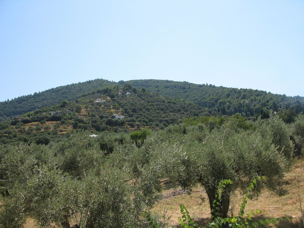 Hotel Prince Stafilos