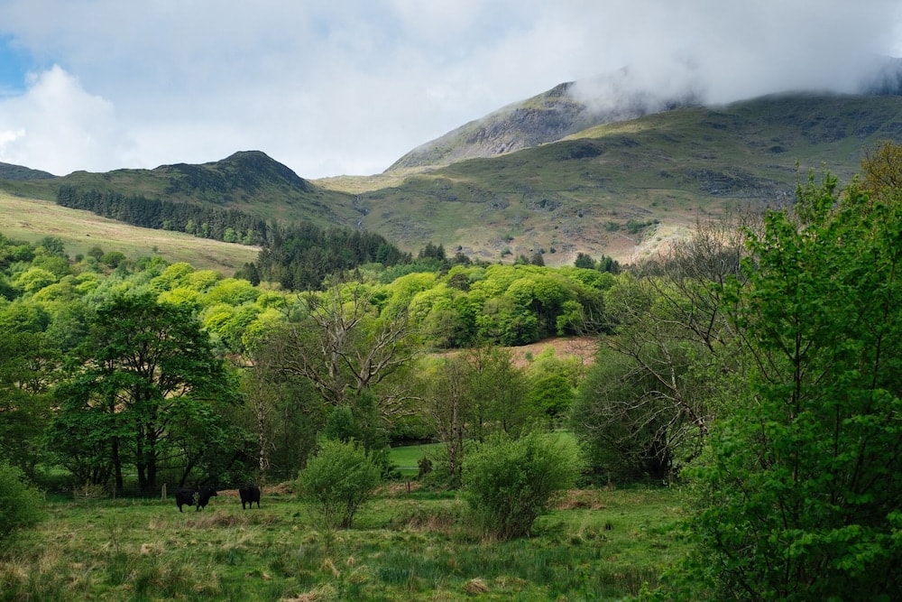 Ty Afon, River House