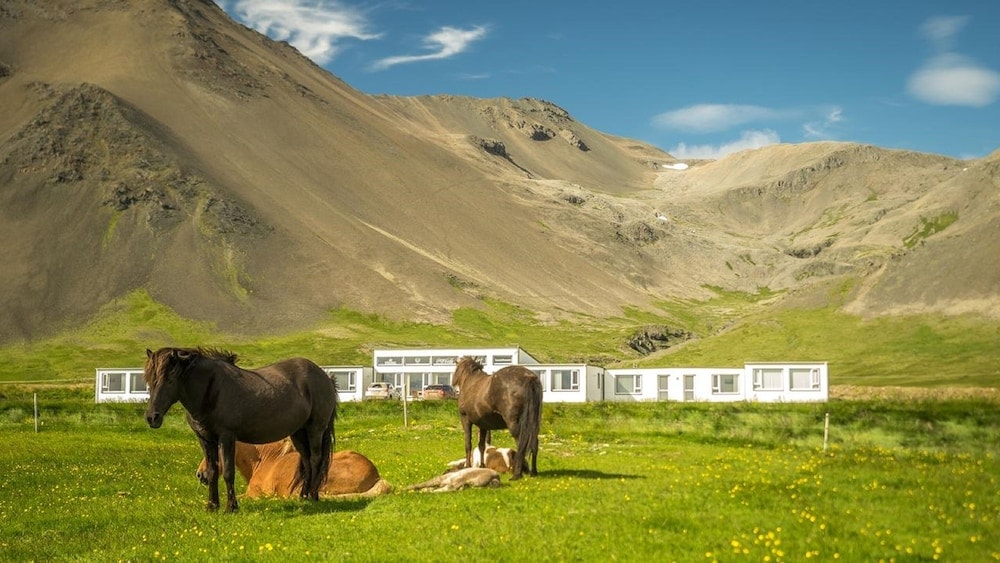 Kast Guesthouse