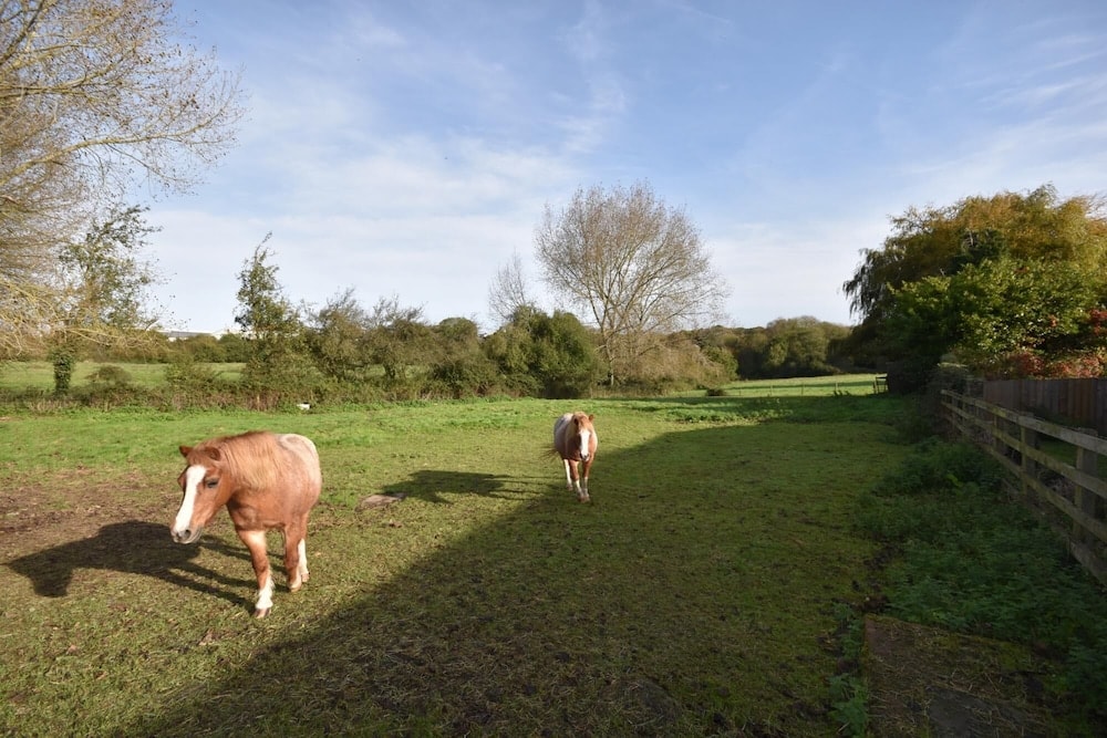 Somerton Farm the Perfect Family Getaway