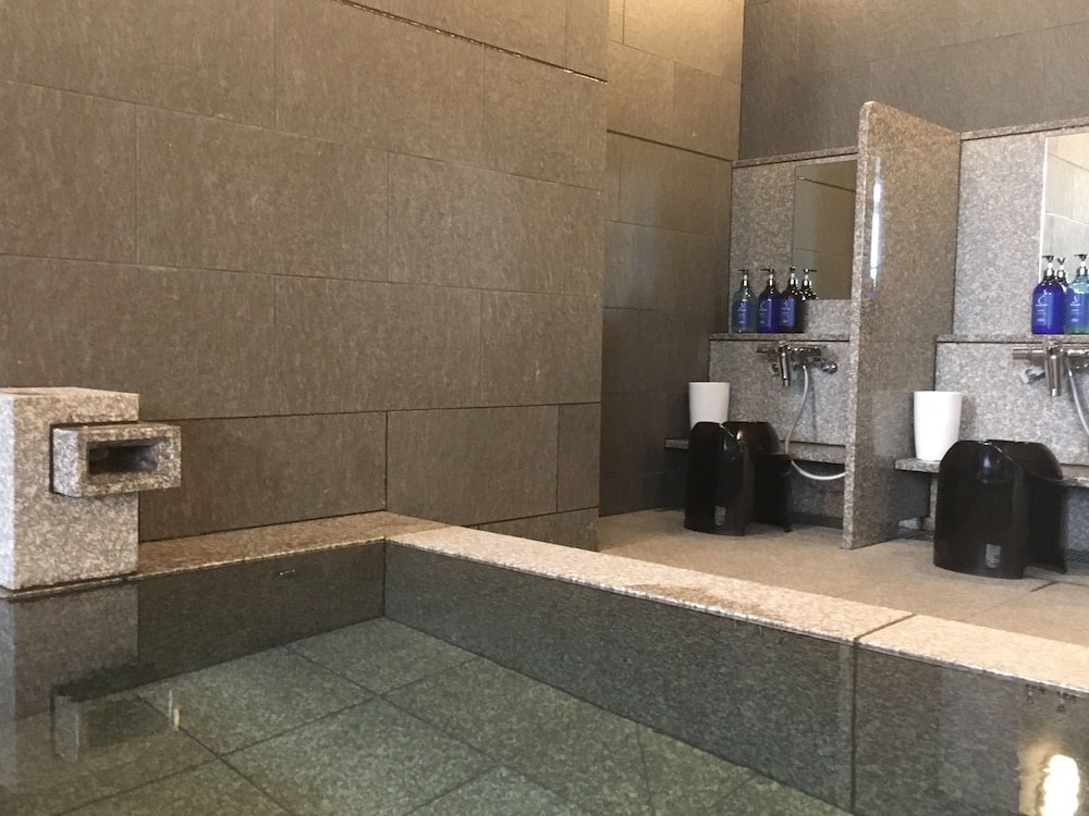 Nippon Seinenkan Hotel