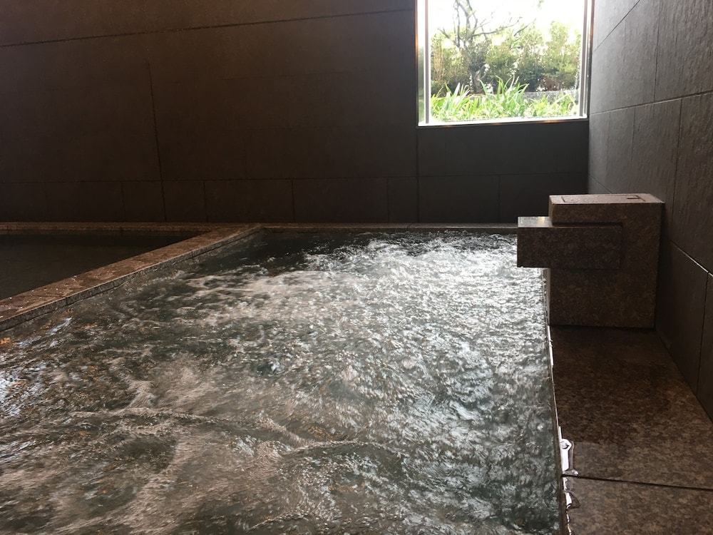 Nippon Seinenkan Hotel