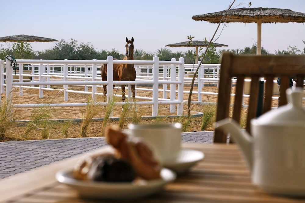 Desert Islands Resort & Spa by Anantara