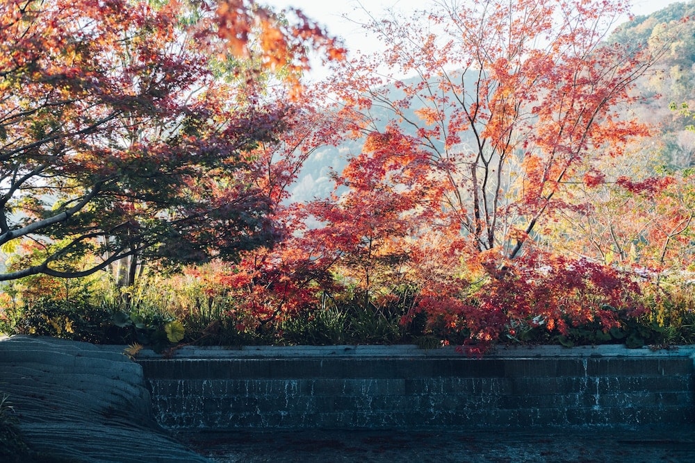 MUNI KYOTO
