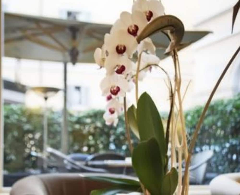 Albergo Santa Chiara Hotel Rome
