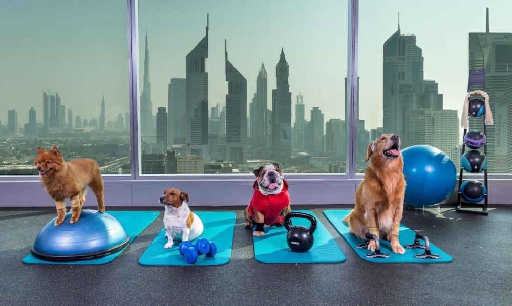 Jumeirah Living - World Trade Centre