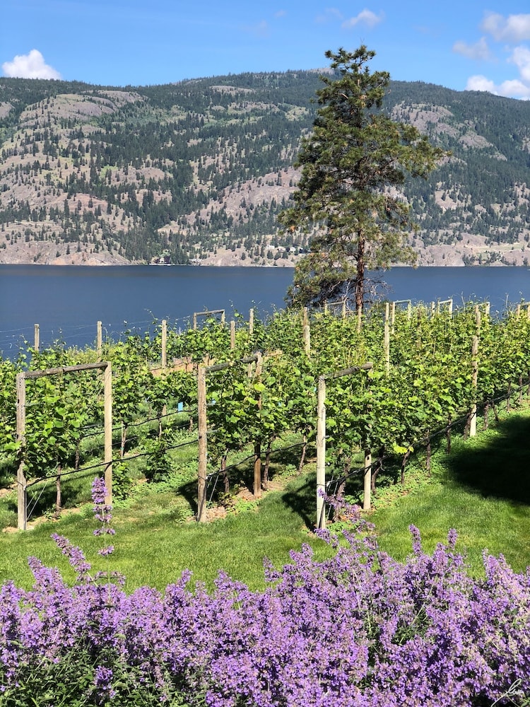 Château Okanagan
